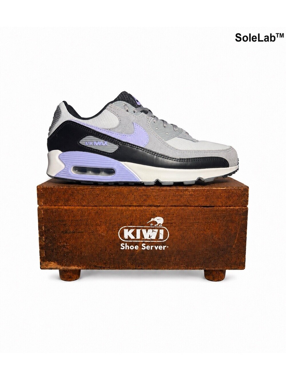 Nike Air Max 90 Light Thistle DM0029-014 Grey Purple Men’s Size 11